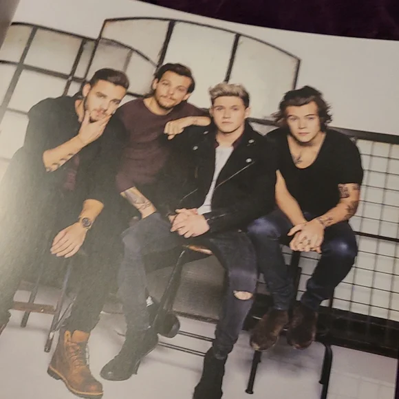 One Direction Tour Book - Picture 5 of 6